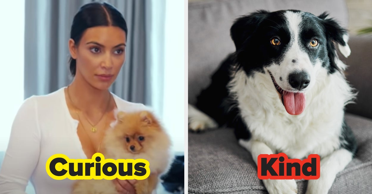 Choose The Cutest Dogs To Find Out What Word Describes You The Best