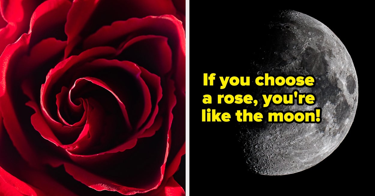 Are You Like The Sun Or The Moon Based On Your Favorite Flowers?
