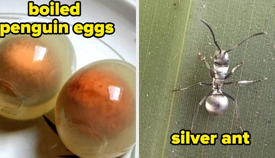 63 Extremely Rare Photos Of The World That Will Totally Change How You Think Of It