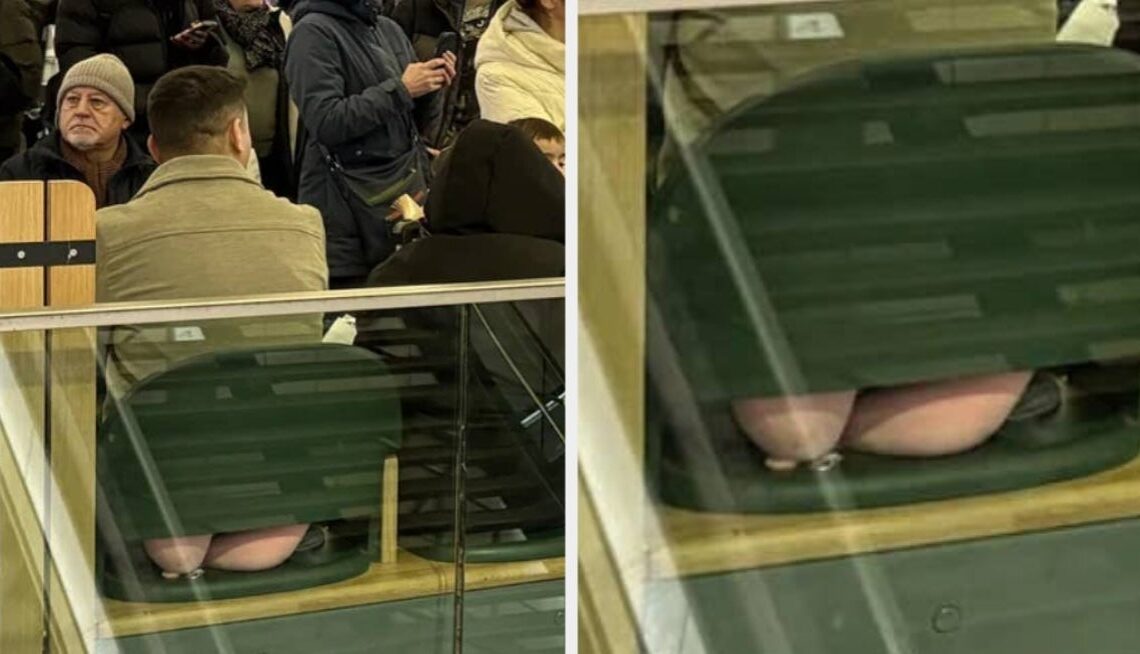 13 Perplexing Images That Sent Me Into Absolute Hysterics This Week