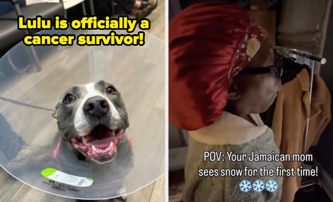 20 Wholesome Posts That Prove Humans Are Still Trying, Even When No One’s Watching