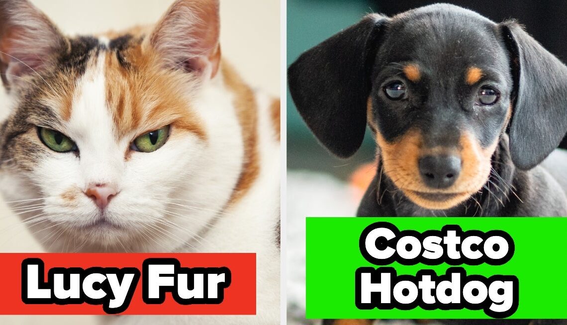 31 Of The Funniest, Cutest, Silliest, And Most Creative Names People Have Ever Given Their Pets