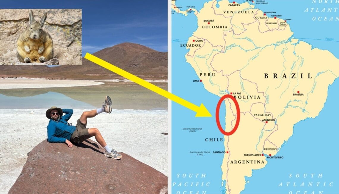 49 Unexpected Things I Found In The Driest Place On Earth