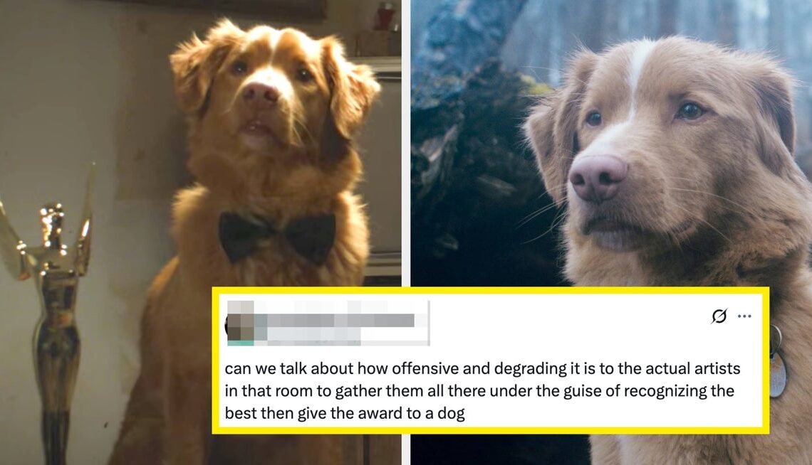 A Dog Just Won An Acting Award, And People Are Seriously Mad On Behalf Of The Human Nominees