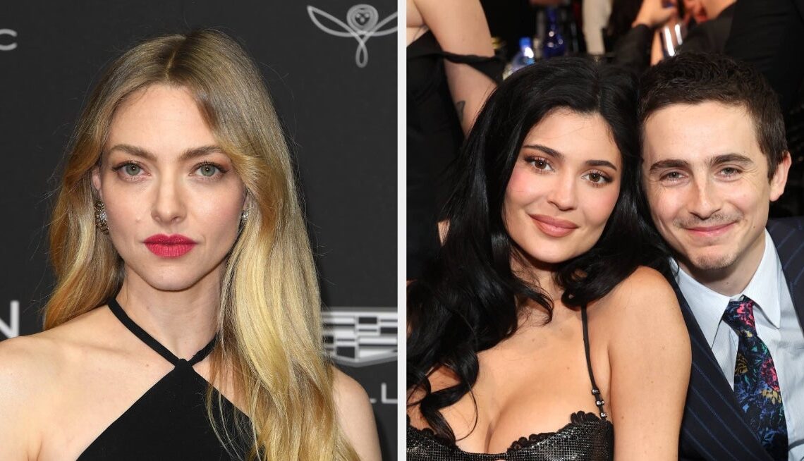 Amanda Seyfried's Bizarre Comment About Timothée Chalamet's Kylie Jenner Shoutout Has Fans Baffled