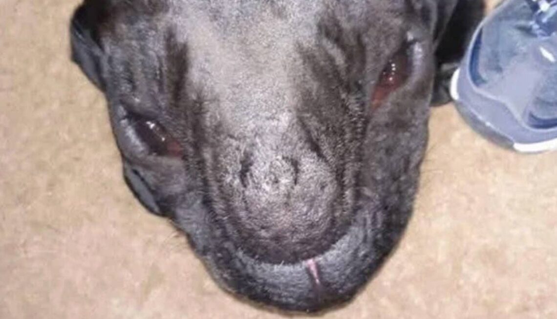 I Just Saw 15 Photos From 2026 That Are So Disturbing, I'm Ready To Skip Ahead To 2037