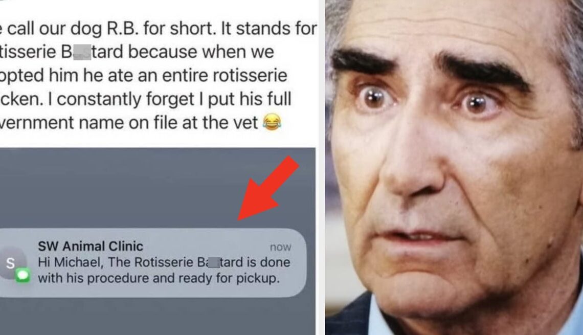 I’m Straight-Up Laughing My You-Know-What Off At These 33 Pictures That I'm Convinced Are IMPOSSIBLE To Keep A Straight Face At