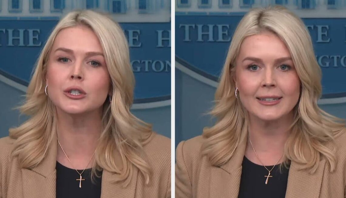 Karoline Leavitt Freaked Out When A Reporter Brought Up This Fact About ICE