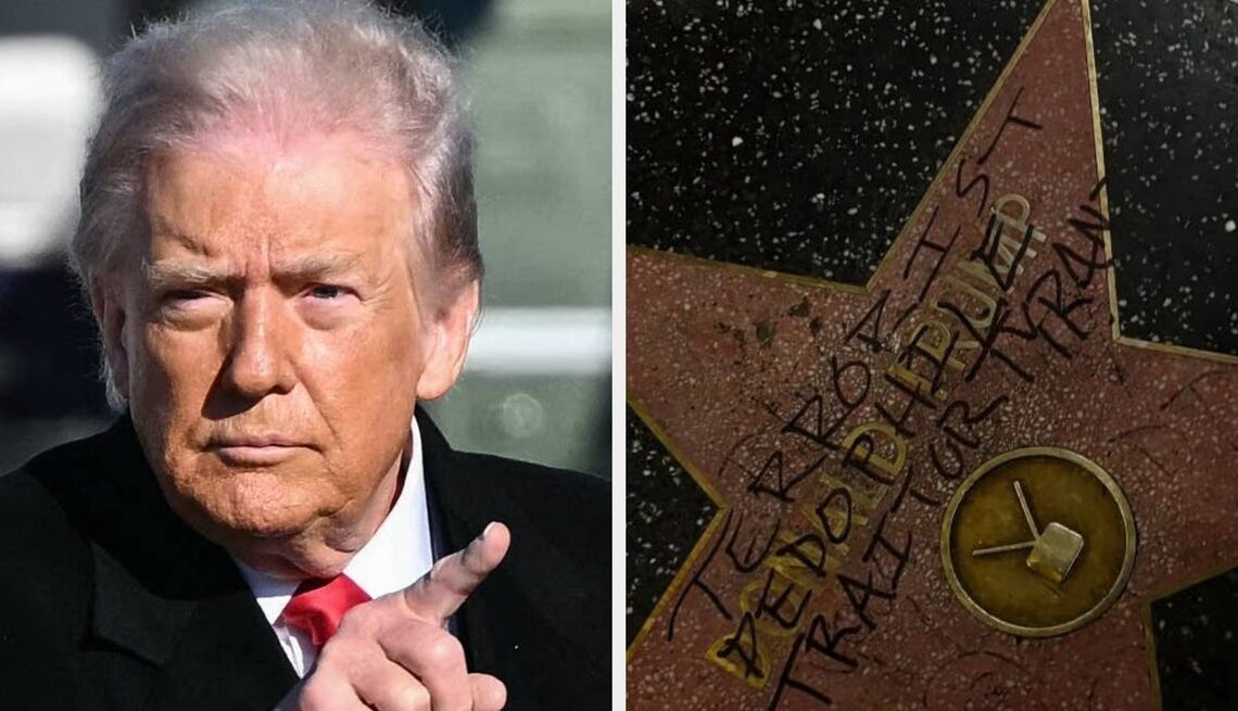 The Internet Is Losing It Over This Photo Of Donald Trump's Vandalized Hollywood Star
