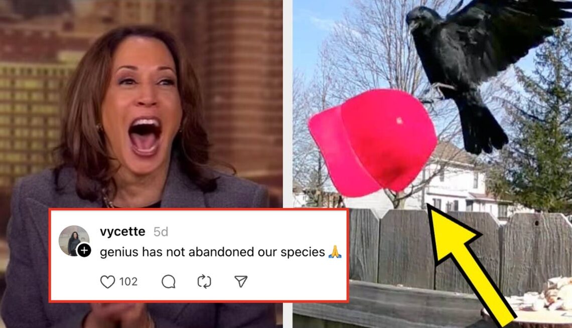 This Man Is Going Viral For Teaching Crows How To Attack MAGA Hats