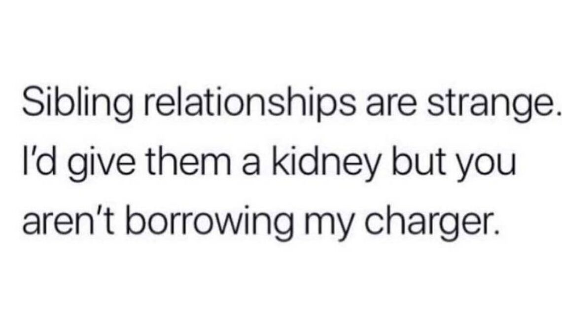 If You Have Siblings, This Post Will Make You Send It To Them And Say "Literally Us"