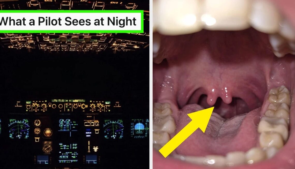 29 Rare Photos The Average Person Has Never, Ever Seen Before