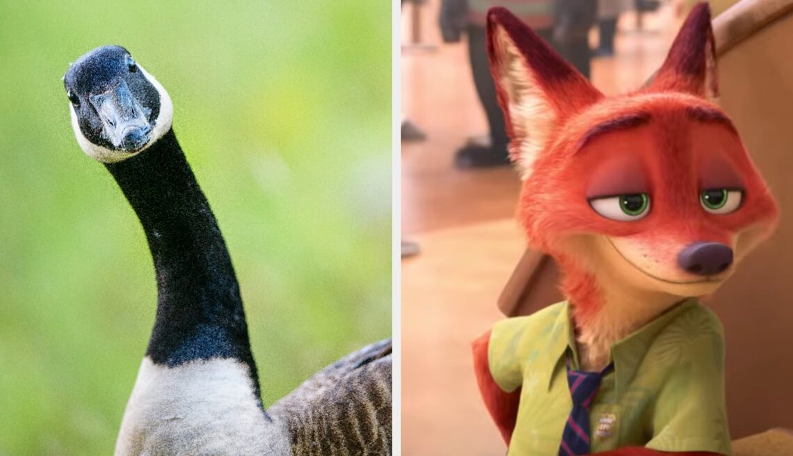 If animals could talk, which one would be the rudest?