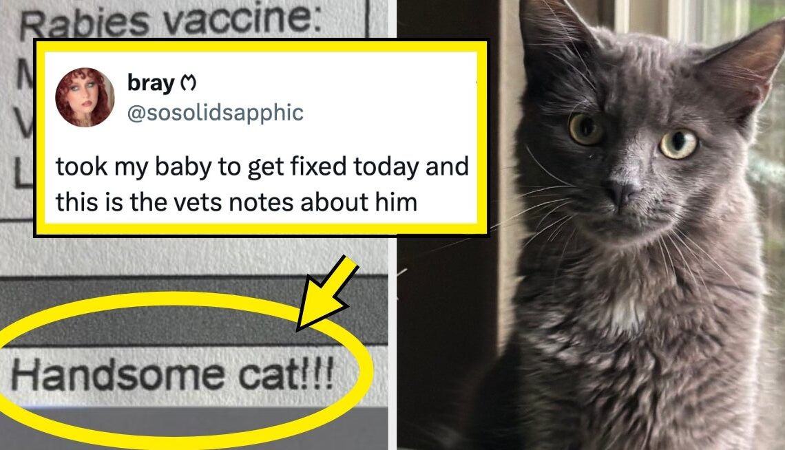 Just 19 Of The Cutest, Best, Most Wholesome Posts From The Internet This Week