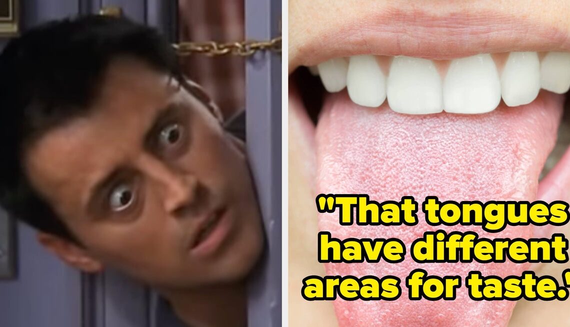 People Are Sharing The "Facts" They Were Taught In School That Turned Out To Be Completely Wrong